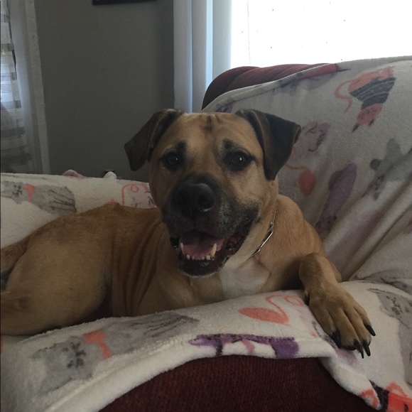 Meet your Posher, April - Picture 4 of 8